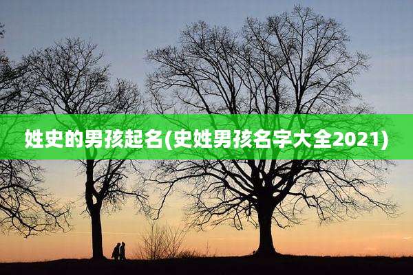 姓史的男孩起名(史姓男孩名字大全2021)