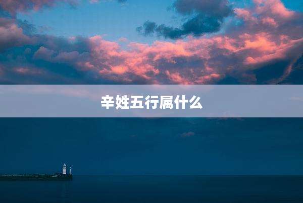 辛姓五行属什么