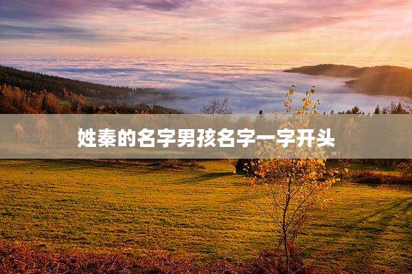 姓秦的名字男孩名字一字开头