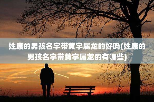 姓康的男孩名字带黄字属龙的好吗(姓康的男孩名字带黄字属龙的有哪些)