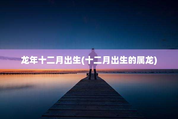 龙年十二月出生(十二月出生的属龙)