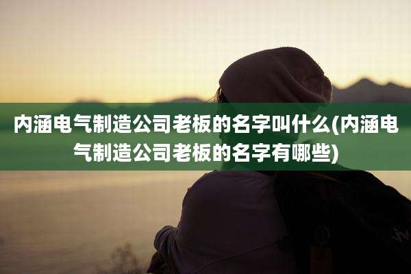 内涵电气制造公司老板的名字叫什么(内涵电气制造公司老板的名字有哪些)