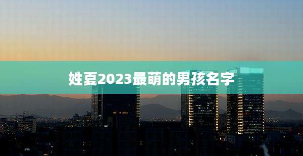 姓夏2023最萌的男孩名字