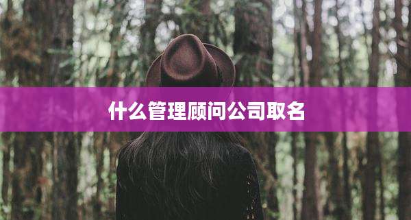 什么管理顾问公司取名