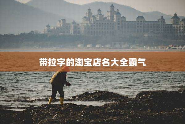 带拉字的淘宝店名大全霸气