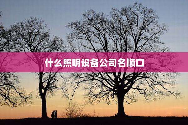 什么照明设备公司名顺口