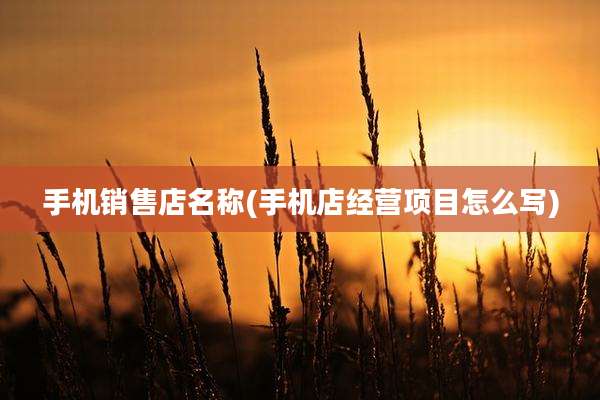 手机销售店名称(手机店经营项目怎么写)