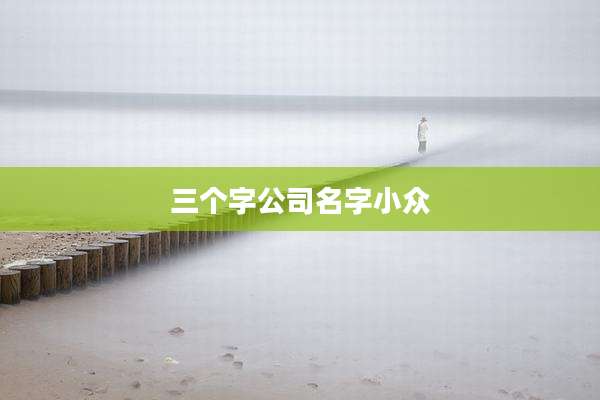 三个字公司名字小众