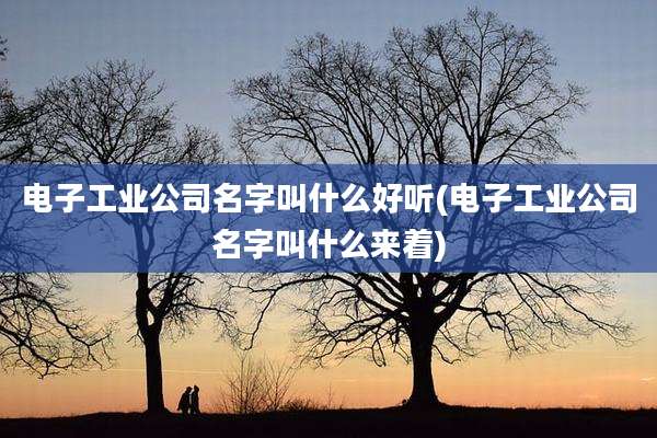 电子工业公司名字叫什么好听(电子工业公司名字叫什么来着)