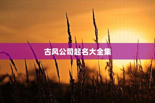 古风公司起名大全集