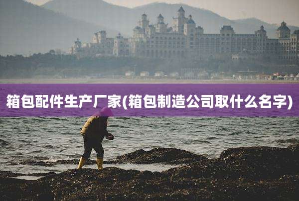箱包配件生产厂家(箱包制造公司取什么名字)