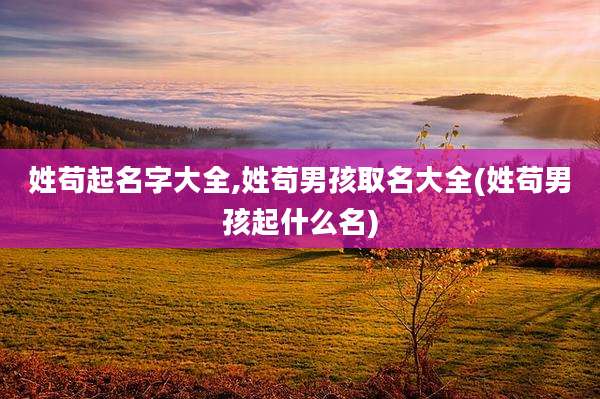 姓苟起名字大全,姓苟男孩取名大全(姓苟男孩起什么名)