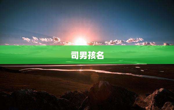 司男孩名