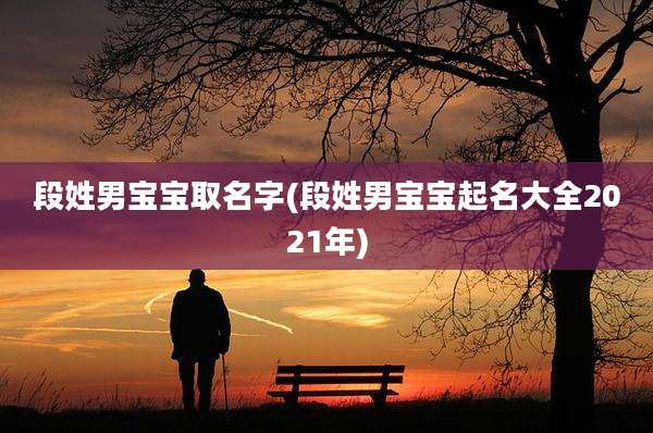 段姓男宝宝取名字(段姓男宝宝起名大全2021年)