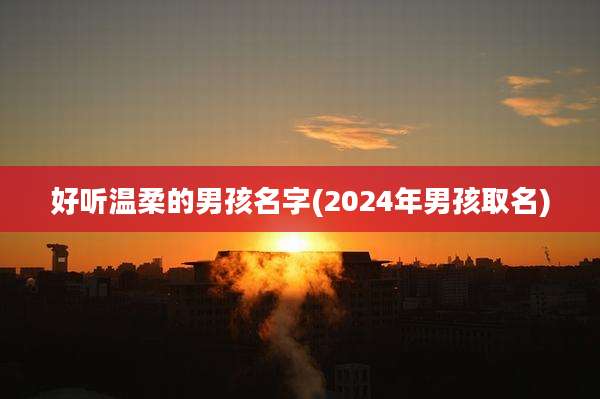 好听温柔的男孩名字(2024年男孩取名)