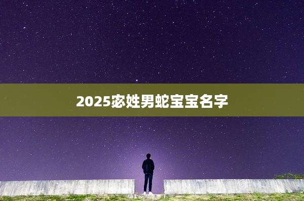 2025宓姓男蛇宝宝名字