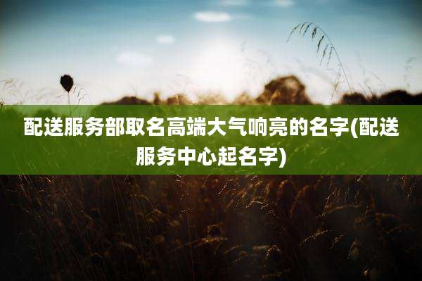 配送服务部取名高端大气响亮的名字(配送服务中心起名字)