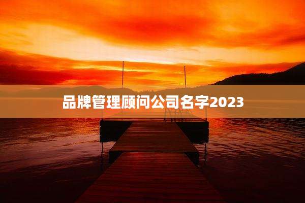 品牌管理顾问公司名字2023
