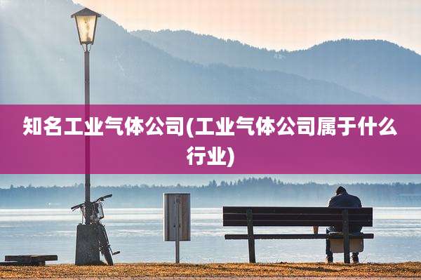 知名工业气体公司(工业气体公司属于什么行业)