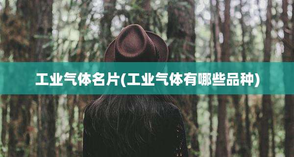 工业气体名片(工业气体有哪些品种)