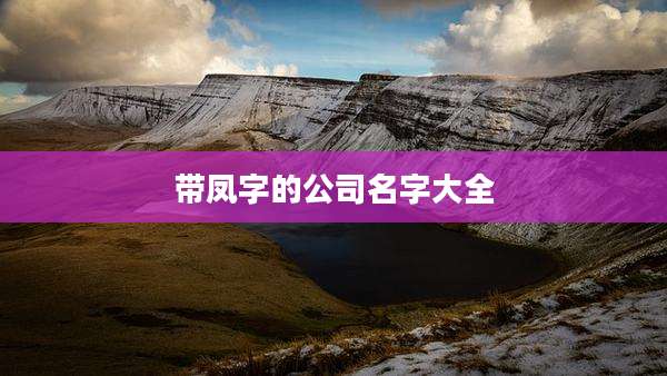 带凤字的公司名字大全