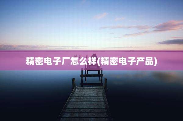 精密电子厂怎么样(精密电子产品)