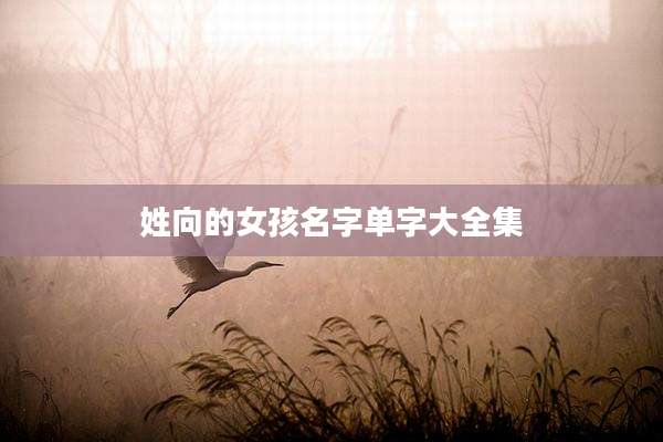 姓向的女孩名字单字大全集