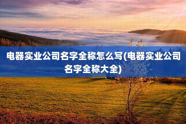 电器实业公司名字全称怎么写(电器实业公司名字全称大全)