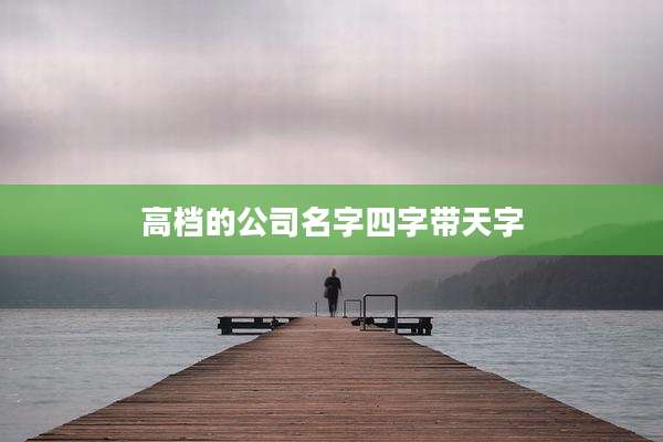 高档的公司名字四字带天字