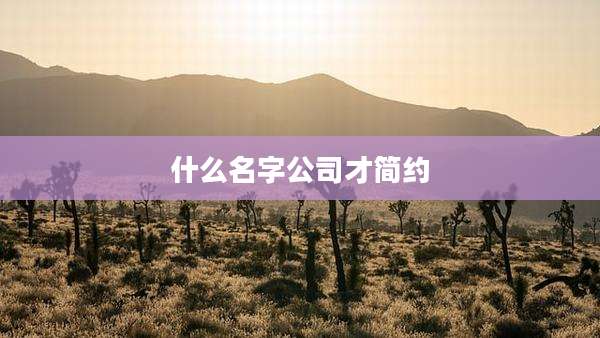什么名字公司才简约