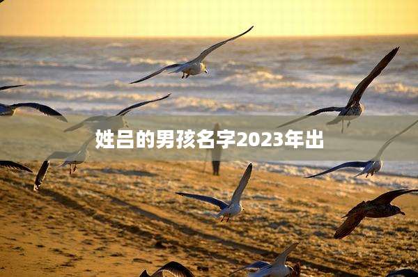 姓吕的男孩名字2023年出