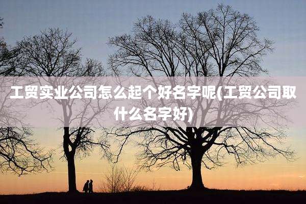 工贸实业公司怎么起个好名字呢(工贸公司取什么名字好)