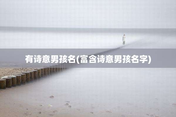 有诗意男孩名(富含诗意男孩名字)
