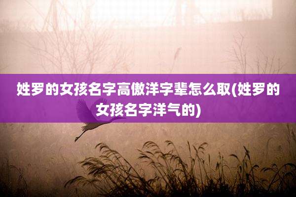 姓罗的女孩名字高傲洋字辈怎么取(姓罗的女孩名字洋气的)