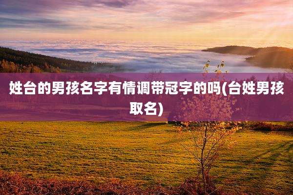 姓台的男孩名字有情调带冠字的吗(台姓男孩取名)