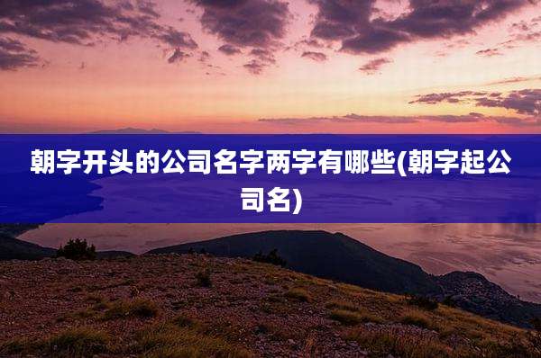 朝字开头的公司名字两字有哪些(朝字起公司名)