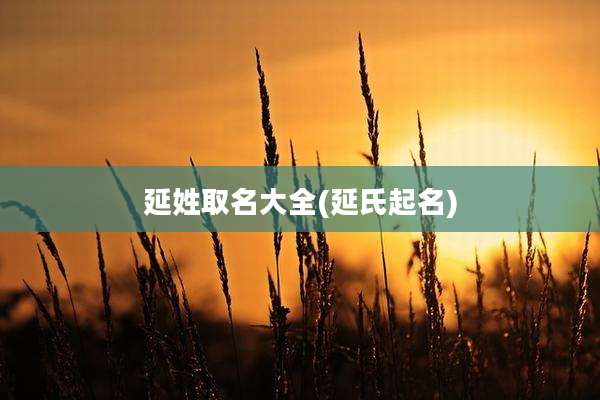 延姓取名大全(延氏起名)