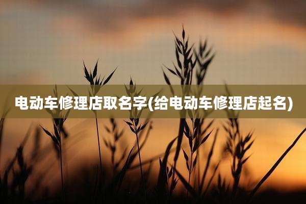 电动车修理店取名字(给电动车修理店起名)