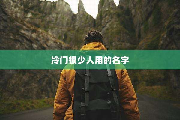 冷门很少人用的名字