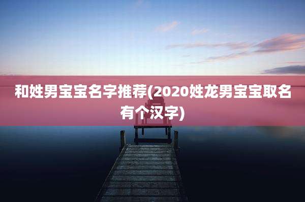 和姓男宝宝名字推荐(2020姓龙男宝宝取名有个汉字)