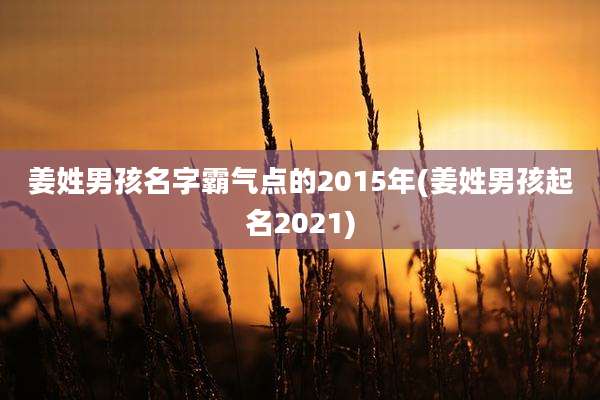 姜姓男孩名字霸气点的2015年(姜姓男孩起名2021)