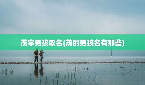茂字男孩取名(茂的男孩名有那些)