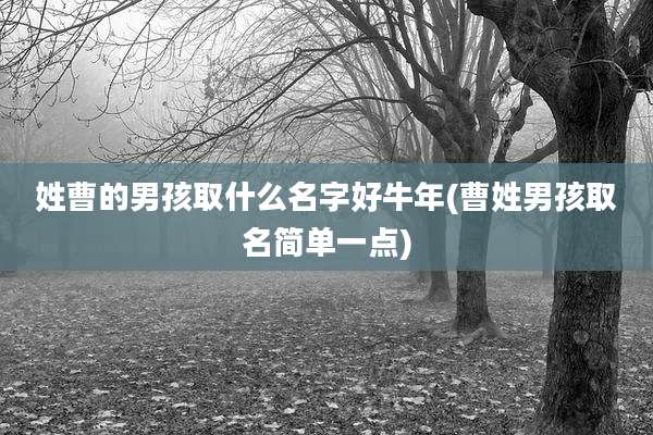 姓曹的男孩取什么名字好牛年(曹姓男孩取名简单一点)