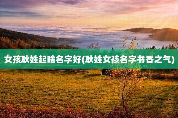 女孩耿姓起啥名字好(耿姓女孩名字书香之气)
