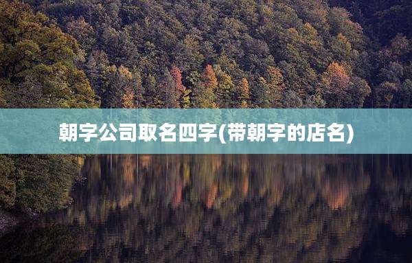 朝字公司取名四字(带朝字的店名)