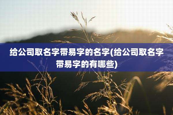 给公司取名字带易字的名字(给公司取名字带易字的有哪些)