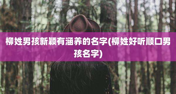 柳姓男孩新颖有涵养的名字(柳姓好听顺口男孩名字)