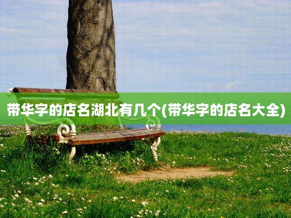 带华字的店名湖北有几个(带华字的店名大全)