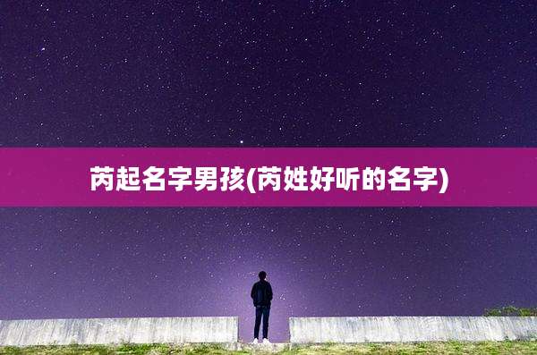 芮起名字男孩(芮姓好听的名字)