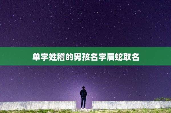 单字姓稽的男孩名字属蛇取名